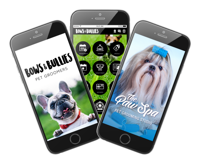 Photo of Example of Custom Pet Grooming Business Apps Interface 