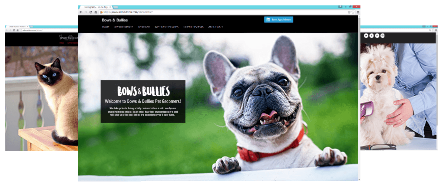 Photo of Example of Custom Pet Grooming Websites